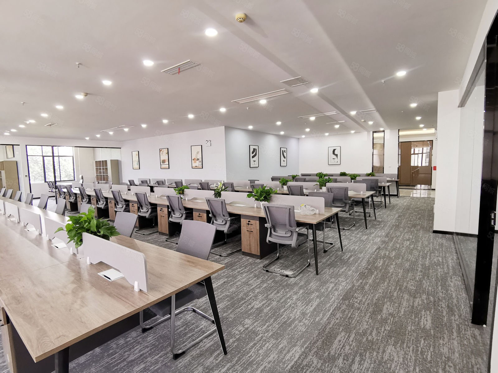 急招安装家具500元一天成都双流 急招安装家具500元一天成都双流